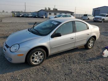  Salvage Dodge Neon