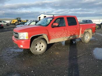  Salvage Chevrolet Silverado