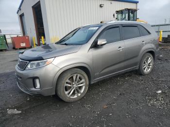  Salvage Kia Sorento