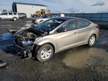  Salvage Hyundai ELANTRA