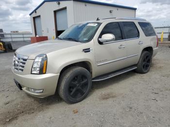  Salvage Cadillac Escalade