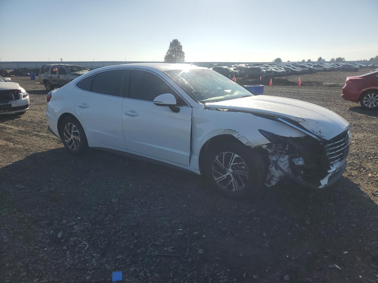 Hyundai SONATA Hybrid Image 6