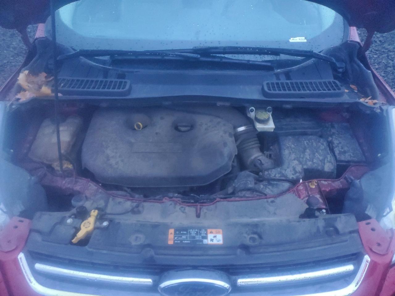 Ford Escape Titanium Image 13