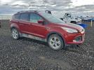 Ford Escape Se Image 5