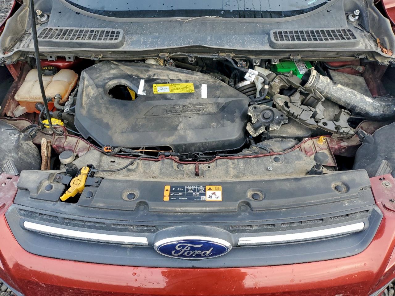 Ford Escape Se Image 12