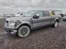 Ford F-150 Supercrew Image 1