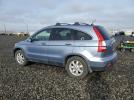 Honda Crv Exl Image 3