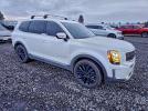 Kia Telluride Sx Image 5